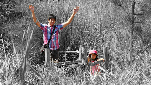 PhotoX screenshot 12