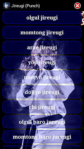 Taekwondo WTF screenshot 4