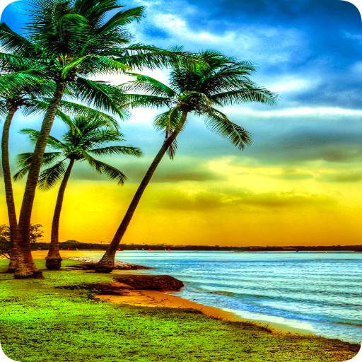 Nature Wallpaper 1.0