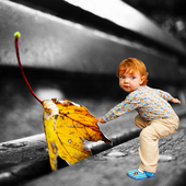 One Color Photo Frames icon