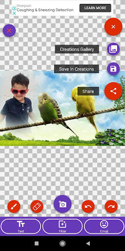 Bird Photo Frames Editor: DP, Quotes, Greeting screenshot 1