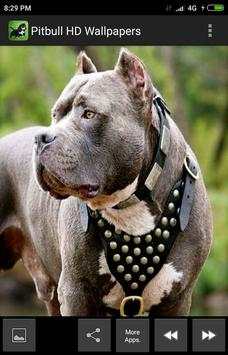 Pitbull HD Wallpapers 2019 screenshot 4