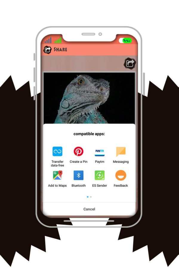 Amazing Wildlife Photo Frame screenshot 1