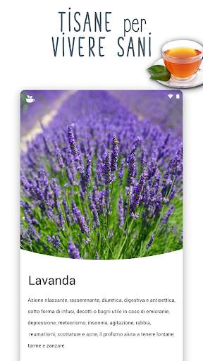 Rimedi Naturali: vita sana screenshot 5