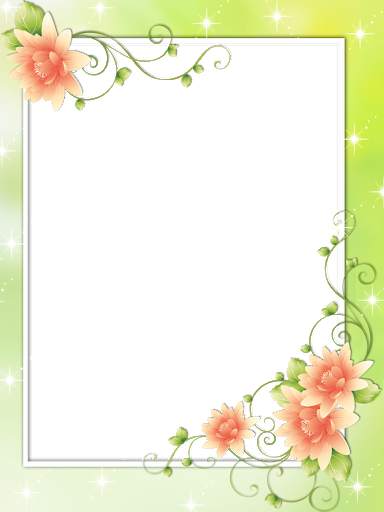 Flowers Photo Frames HD screenshot 13
