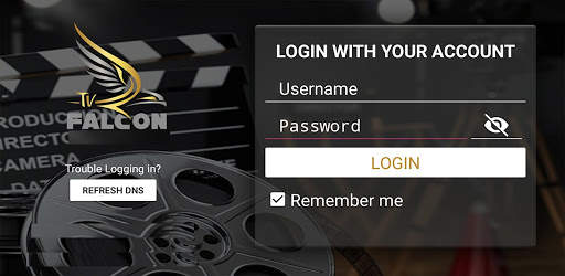 Falcon Player screenshot 1