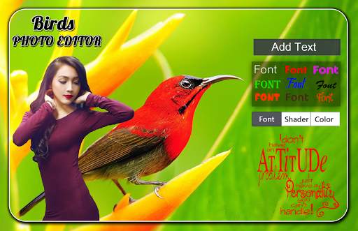 Birds Photo Editor screenshot 2