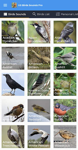 American Birds Sounds Pro screenshot 1