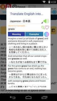 English Conversations screenshot 7