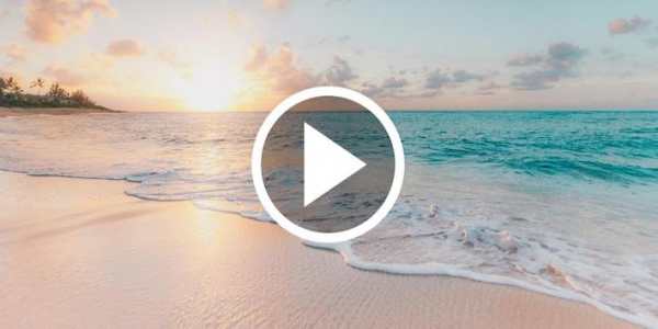Summer Video Live Wallpaper скриншот 1