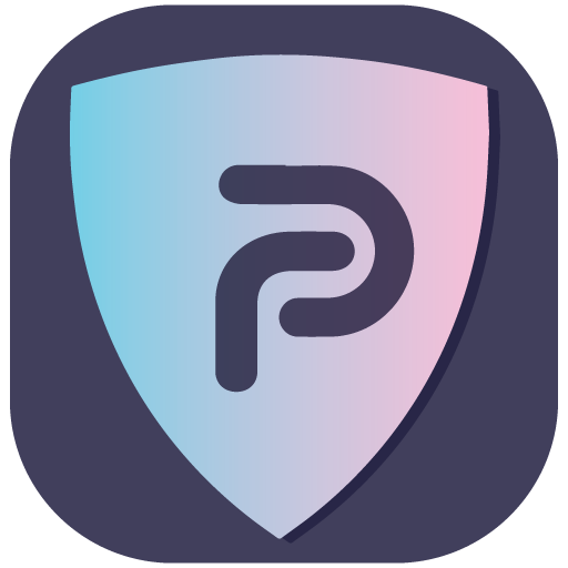 Pro Vpn icon