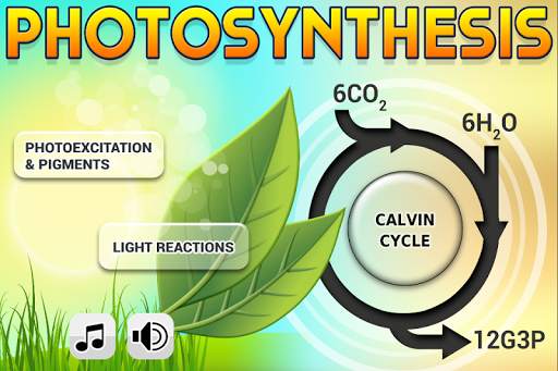 Biology Photosynthesis screenshot 1