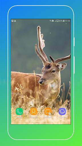 Nature Wallpaper screenshot 16