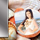 Seashells Photo Frames 1.3