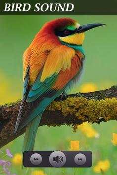 Bird Sounds Ringtones screenshot 3