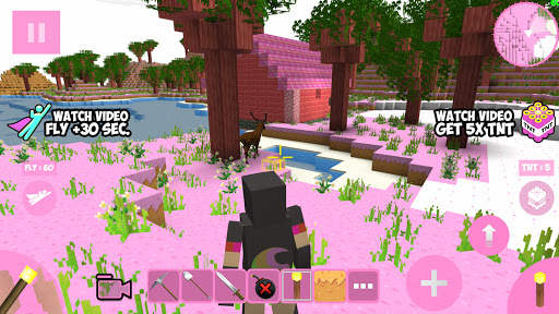 Candy Craft screenshot 8