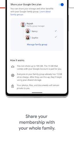 Google One screenshot 6
