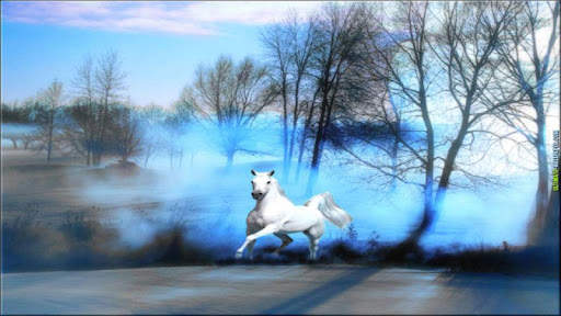 Horse Wallpapers HD screenshot 6