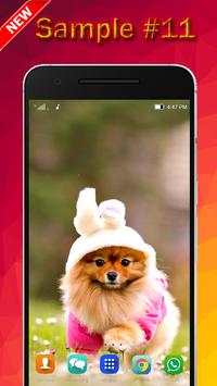 Dog Wallpaper screenshot 11