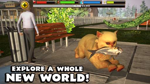 Stray Cat Simulator screenshot 15