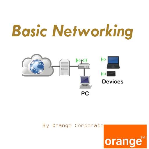 Basic Networking screenshot 1