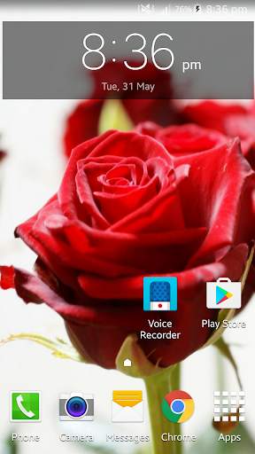 Live Rose Wallpaper screenshot 1