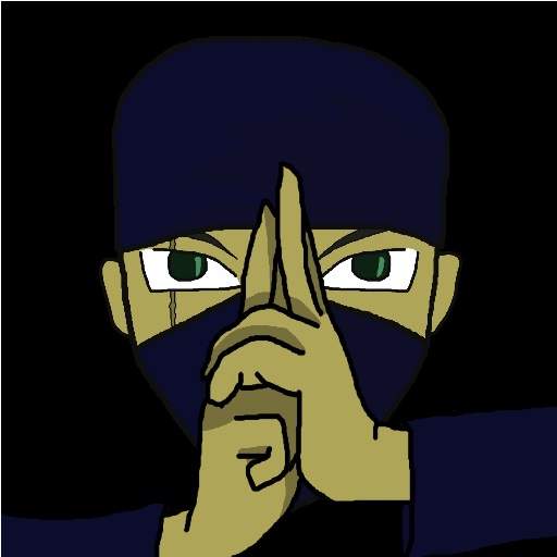 Ninja Runner 0