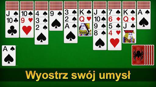 Pająk Pasjan screenshot 6