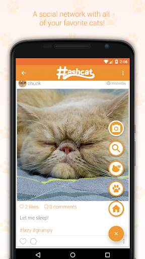 Hashcat - Cat's social network screenshot 6