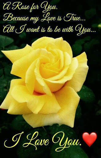 Romantic images Gif - Love HD wallpapers App screenshot 7