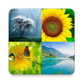 Nature Images icon