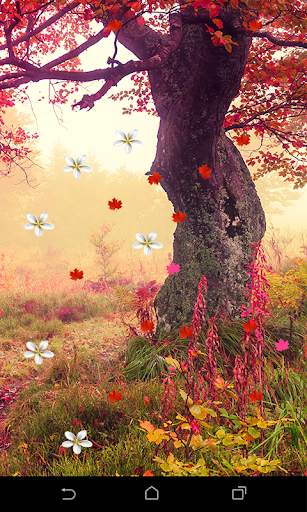 Garden Live Wallapaper screenshot 4