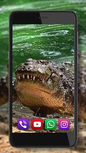Crocodiles live wallpaper screenshot 4