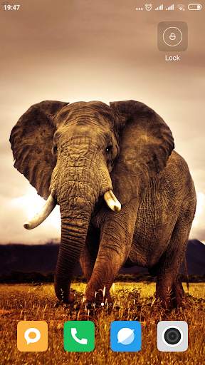 Safari HD Wallpaper screenshot 14