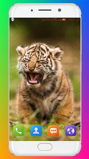 Tiger Wallpaper HD screenshot 16