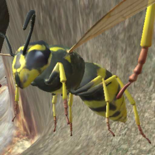 Wasp Nest Simulator - Insect and 3d animal game icon