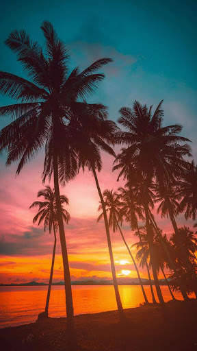 Sunset HD Wallpapers screenshot 6