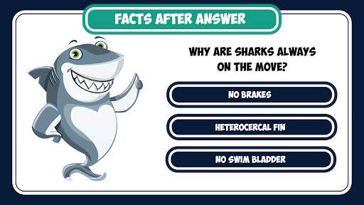 Brain quiz: knowledge screenshot 5