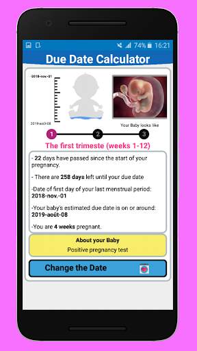 Pregnancy Calculator screenshot 2