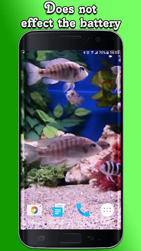 Aquarium Video Wallpaper screenshot 4