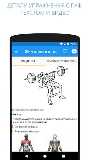 Моя тренировка - фитнес и упражнения, с весом тела скриншот 4