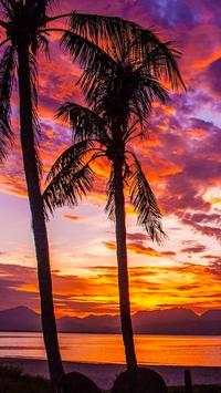 Beautiful Trees Wallpapers screenshot 5