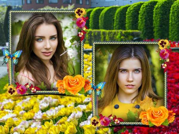 Garden Photo Frame Dual screenshot 1