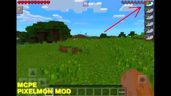 Pixelmon Mod screenshot 3