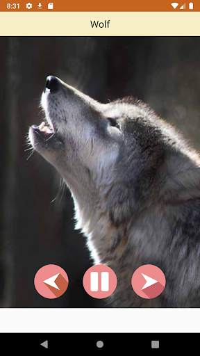 Animal Sounds 3D screenshot 4