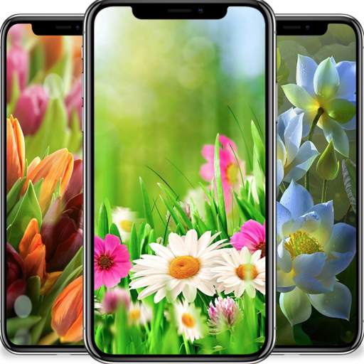 Flower Wallpapers 4K 1.0