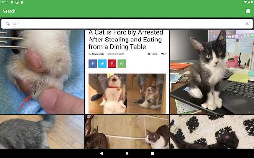 Imgur Browser screenshot 15