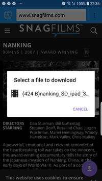 Real Downloader screenshot 5