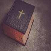 King James Bible(Holy Bible,) logo