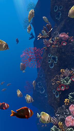 OCEAN AQUARIUM Live Wallpaper FREE screenshot 20